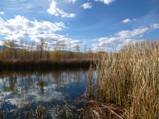 Dead Horse Ranch State Park