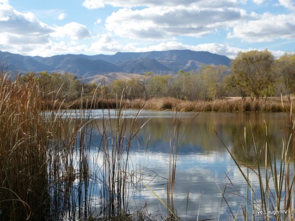 Dead Horse State Park