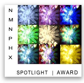 spotlight-award