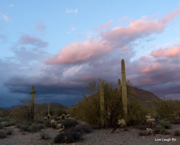 Cave Creek Regional Park