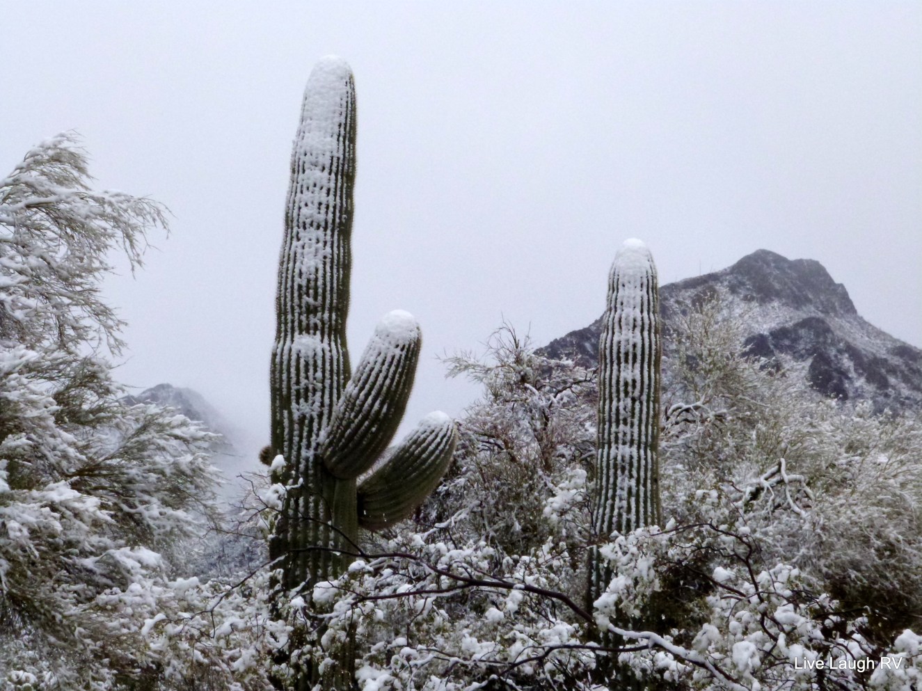 Gilbert Ray Campground