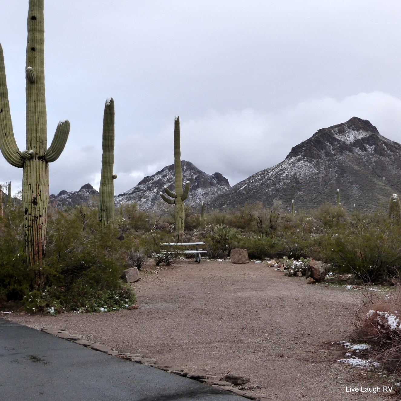 Gilbert Ray Campground