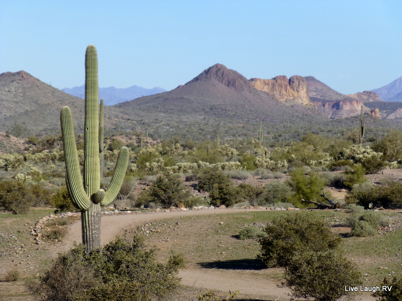 Lost Dutchman State Park
