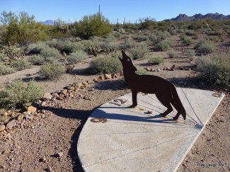 Lost Dutchman State Park