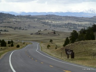 Pike National Forest