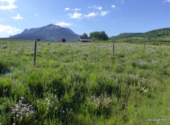 Telluride