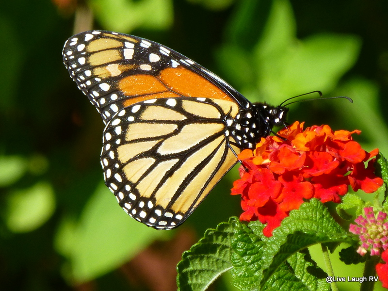 OH, NO….she didn’t?