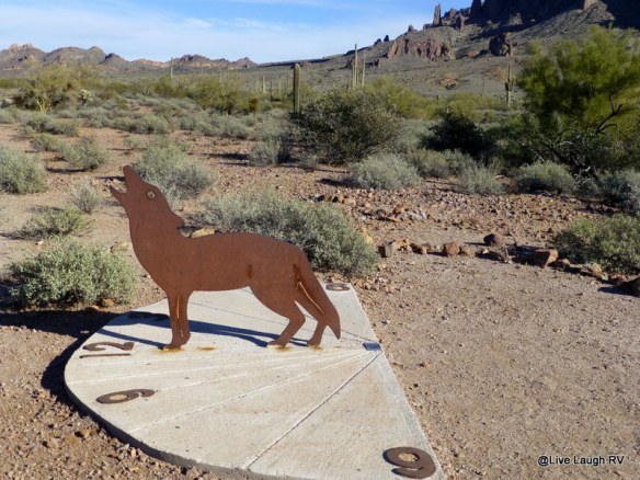 Camping near Phoenix