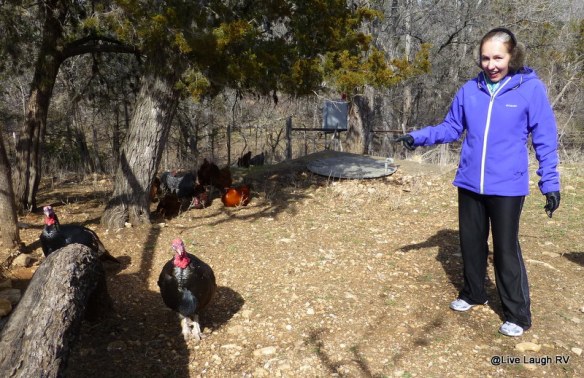 LBJ state park ranch