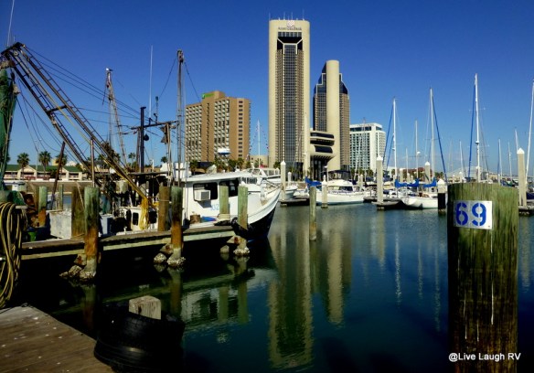 photo challenge reflections