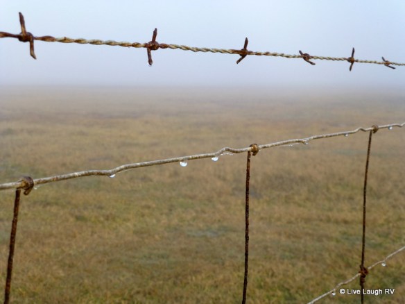 Silence Sunday Photo Challenge