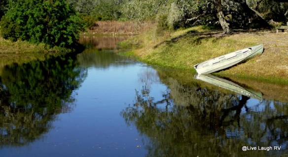 reflections photo challenge