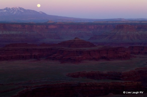 wordpress weekly photo challenge on top