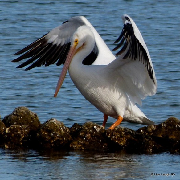 photo challenge clean