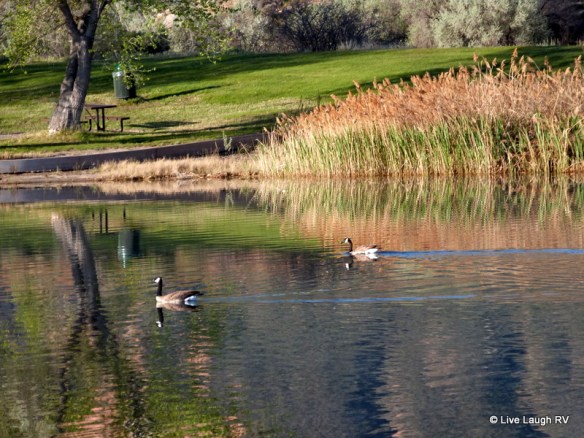 Colorado State Parks