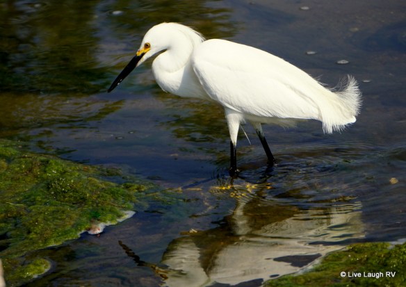 bike trails wildlife