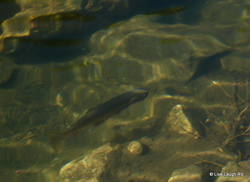Rocky Mountain National Park