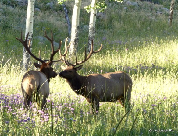 Rocky Mountain National Park