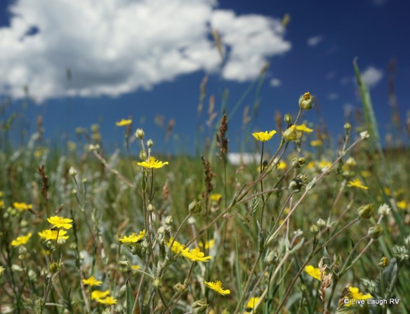 Jefferson County Parks