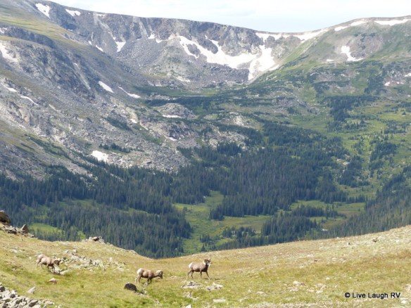 Rocky Mountain National Park