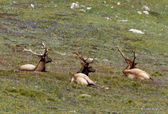 Rocky Mountain National Park