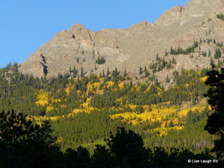 fall colors in the Rockies