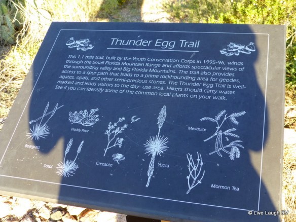 hiking at Rockhound State Park