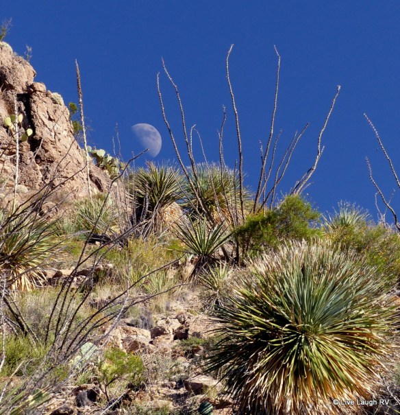 New Mexico State Parks