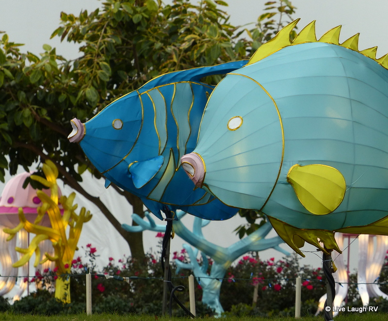 Sponge Bob Square Pants