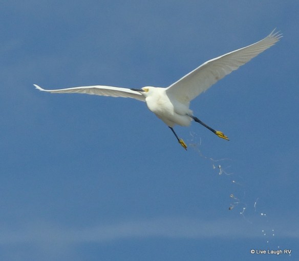 Jamaica Beach RV Resort