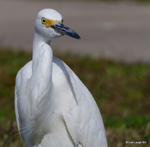 WordPress daily post