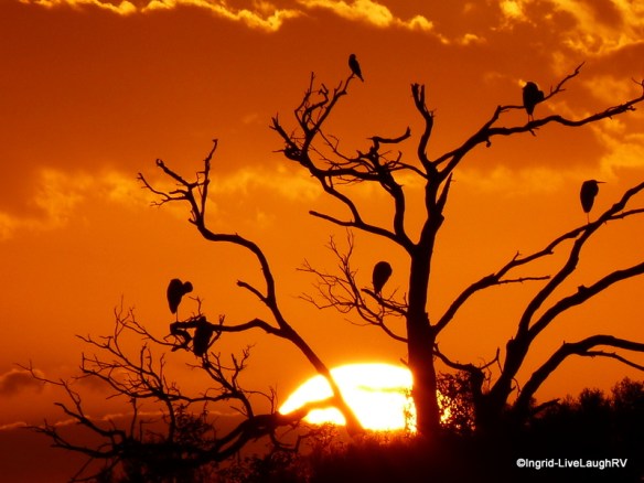 Galveston Island State Park