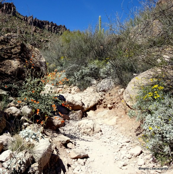 Peralta Trail Superstitions