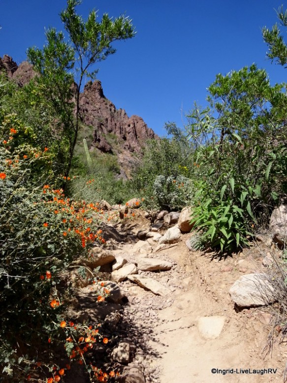Peralta Trail