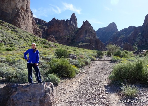 Tonto National Forest