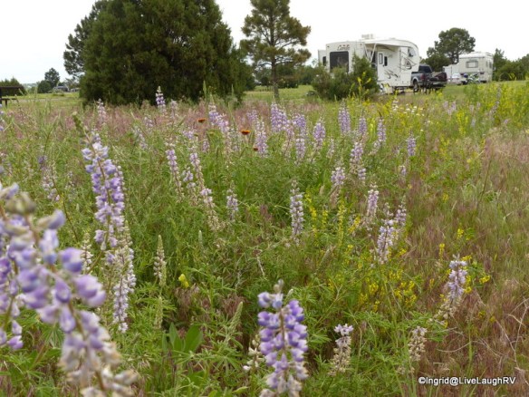 Crested Butte Colorado