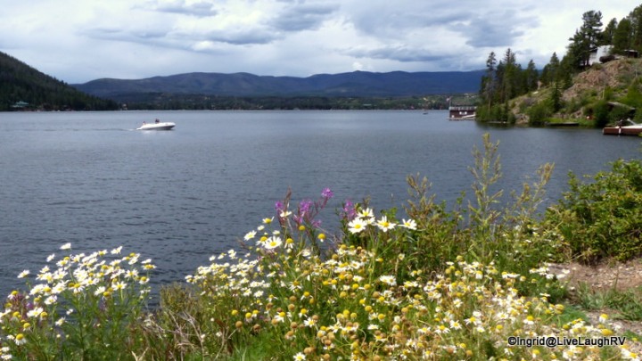 Grand Lake, Colorado, wildflowers along the shores of a mountain lake, #picturesqueColorado, #mountainLakes