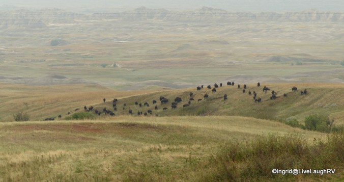 camping in the Badlands