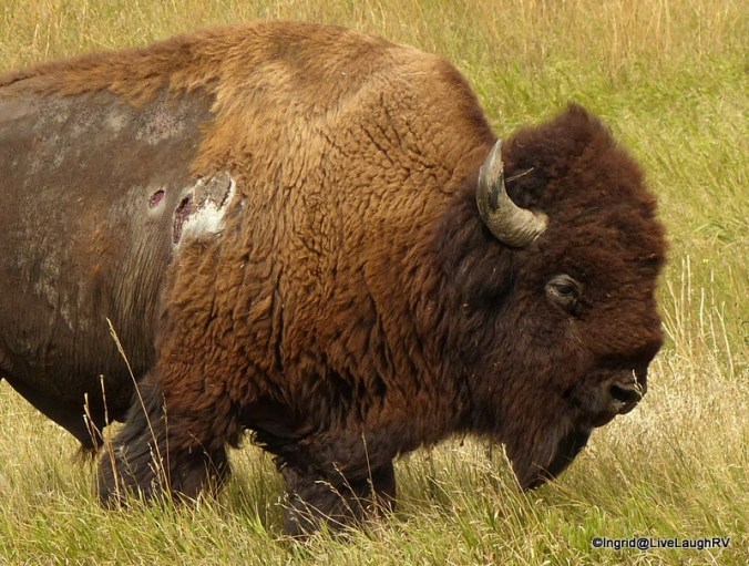 Badlands National Park