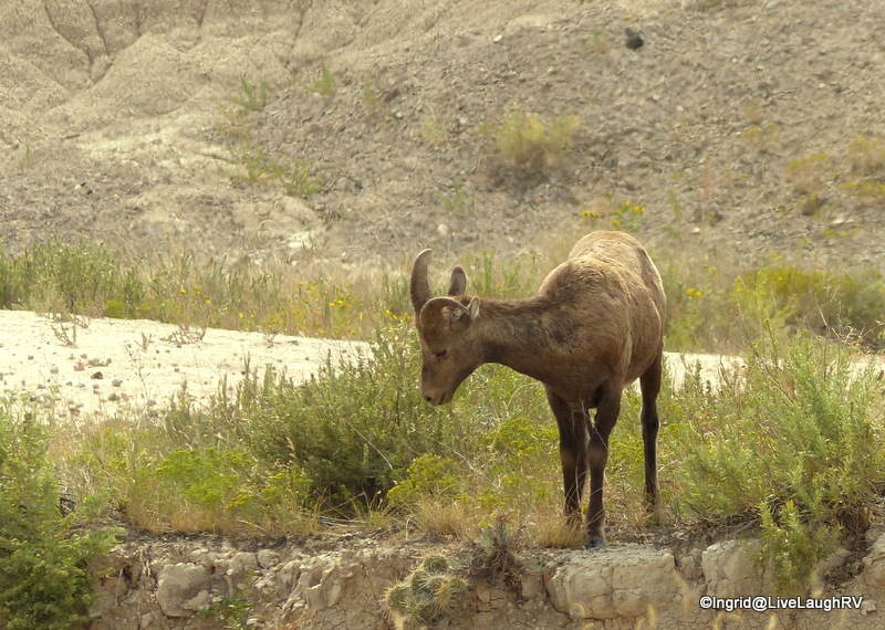 Badlands National Park