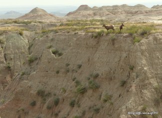 South Dakota, Badlands