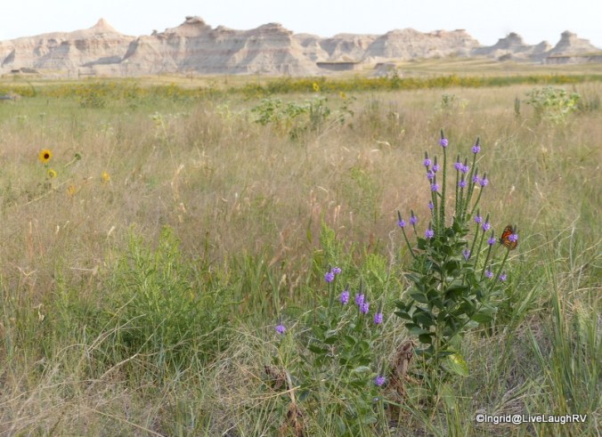 Badlands South Dakota