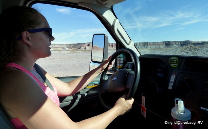 driving through the Petrified Forest