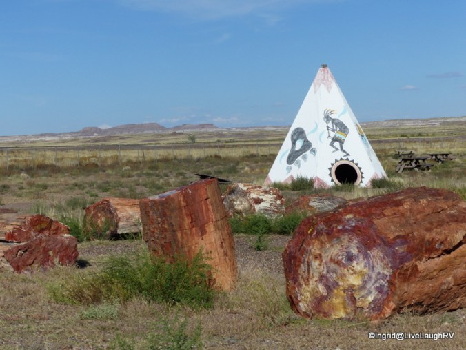 Petrified wood - This National Park is known for its fossils. 225 million years ago, this area was a forest. The downed trees have since turned to stone.
