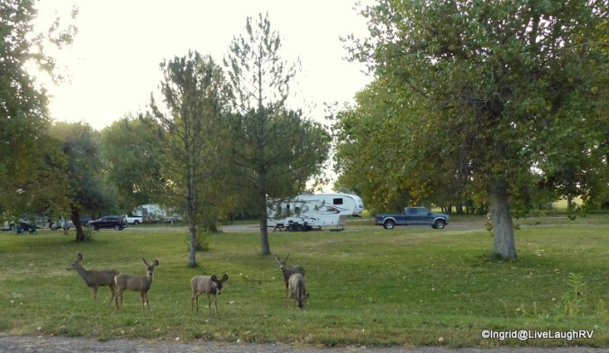 Colorado State Parks