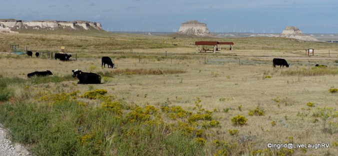 Picnic area and trailhead to Pawnee Buttes.