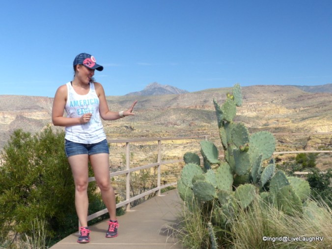 "I am not standing next to that thing"