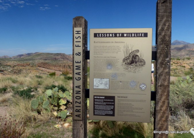 Tonto National Forest