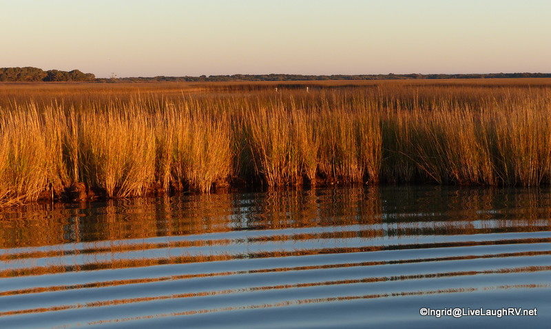 Can you see the two whooping cranes?
