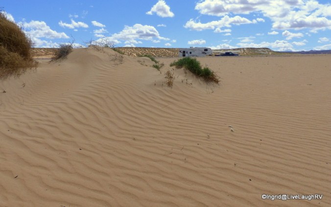 my hiking shoes ingested at least a cup of sand each